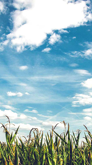 field with clouds