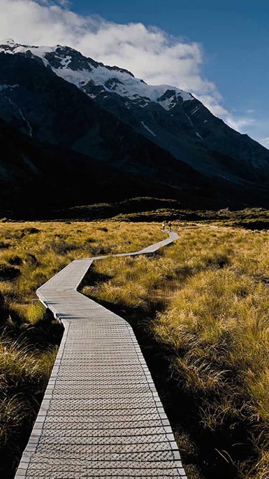track in new zealand 
