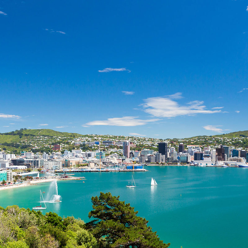 sunshine in wellington 