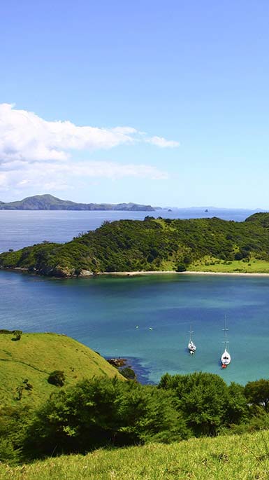 seaview in northland 