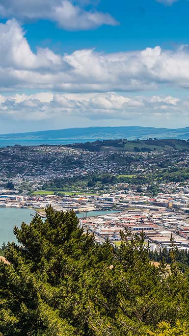 dunedin from above