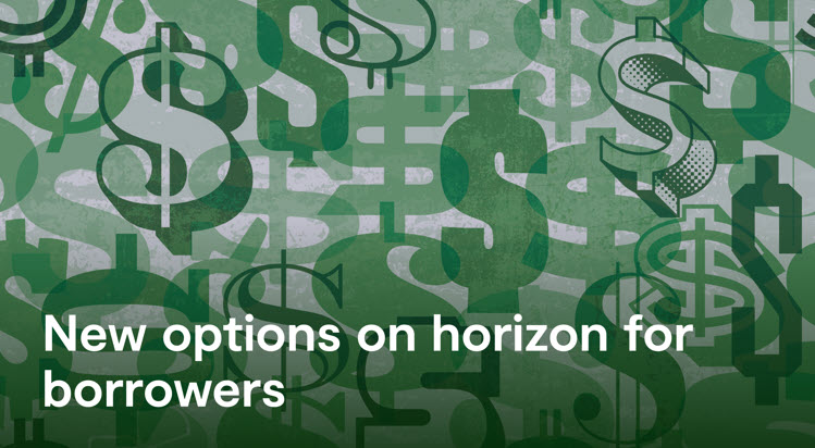 Chapman Tripp | New options on horizon for borrowers
