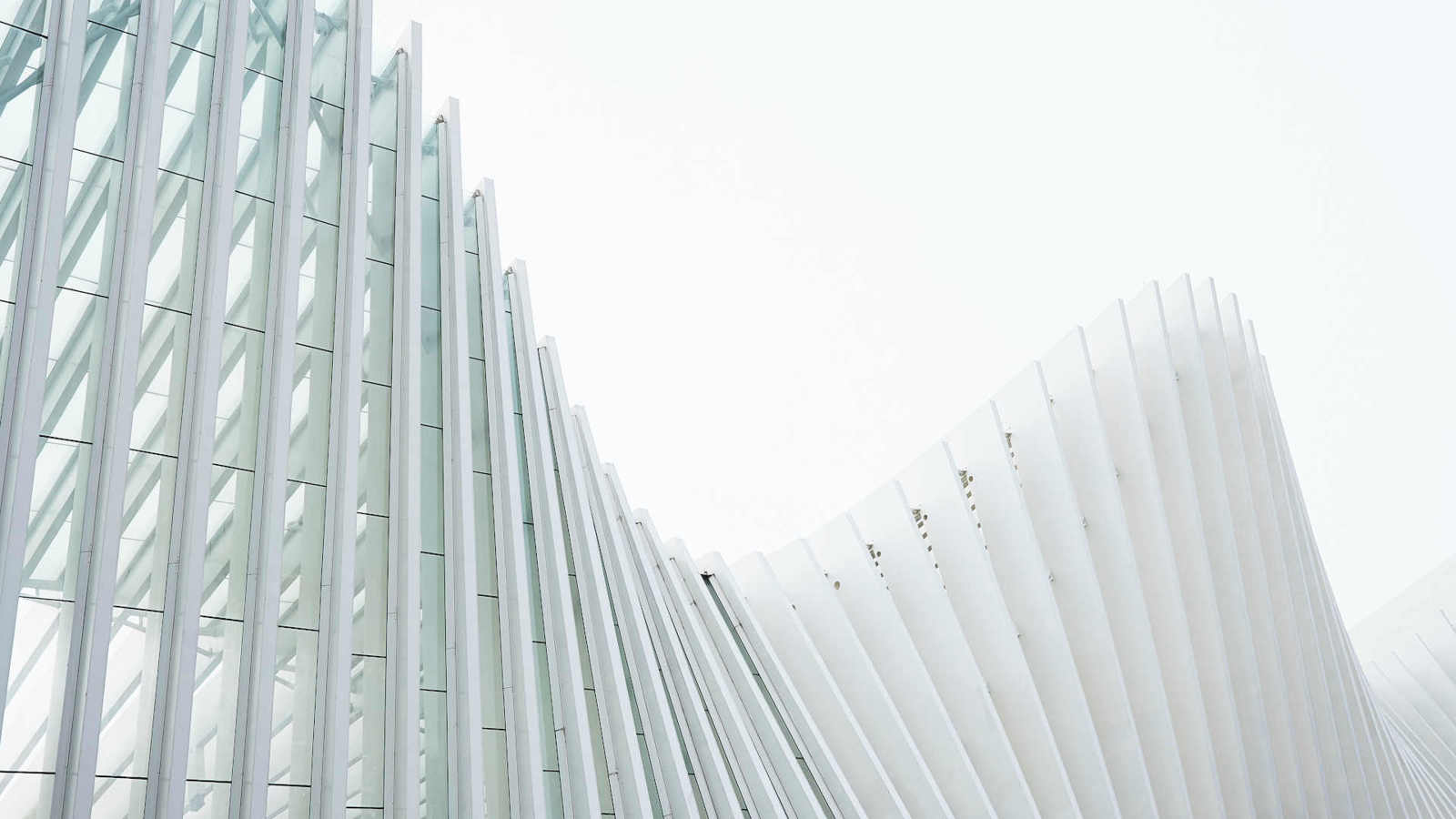 white curved building
