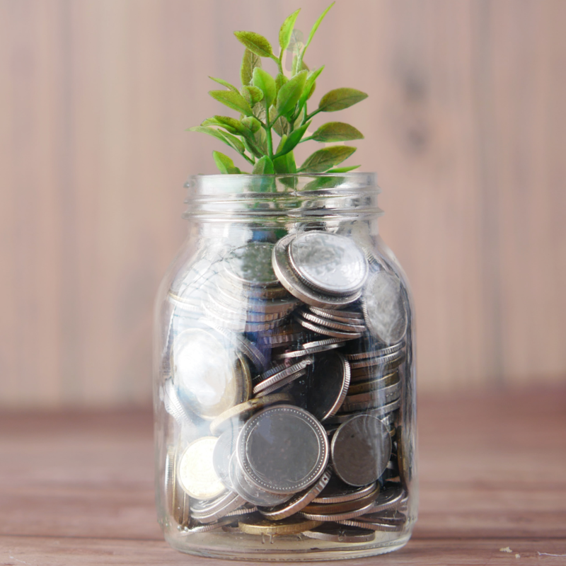 money plant in a jar 