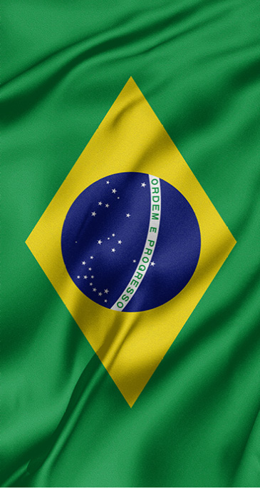 Brazilian flag 
