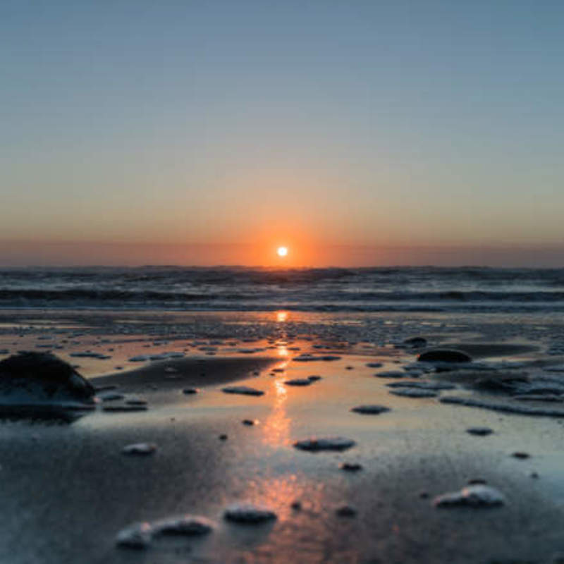 Taranaki beach sunset