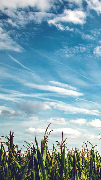 field with clouds