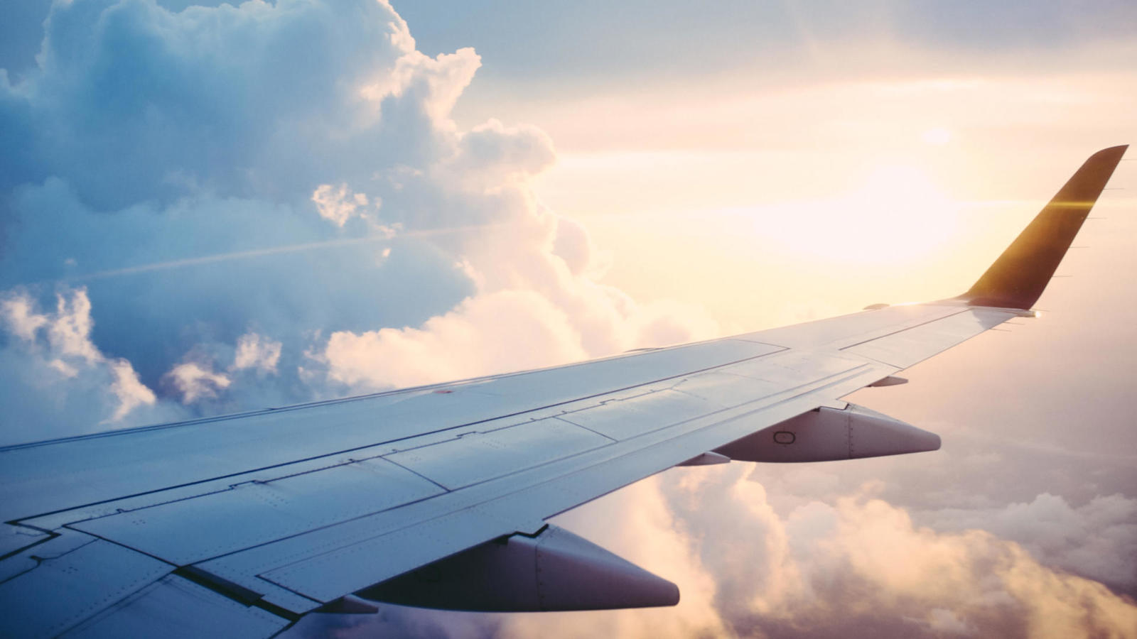 aeroplane wing