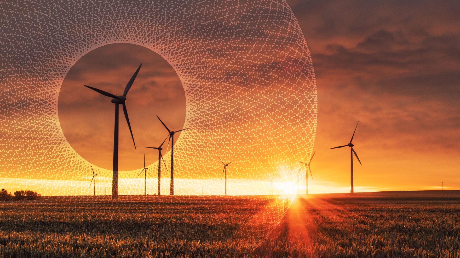 energy wind farm 