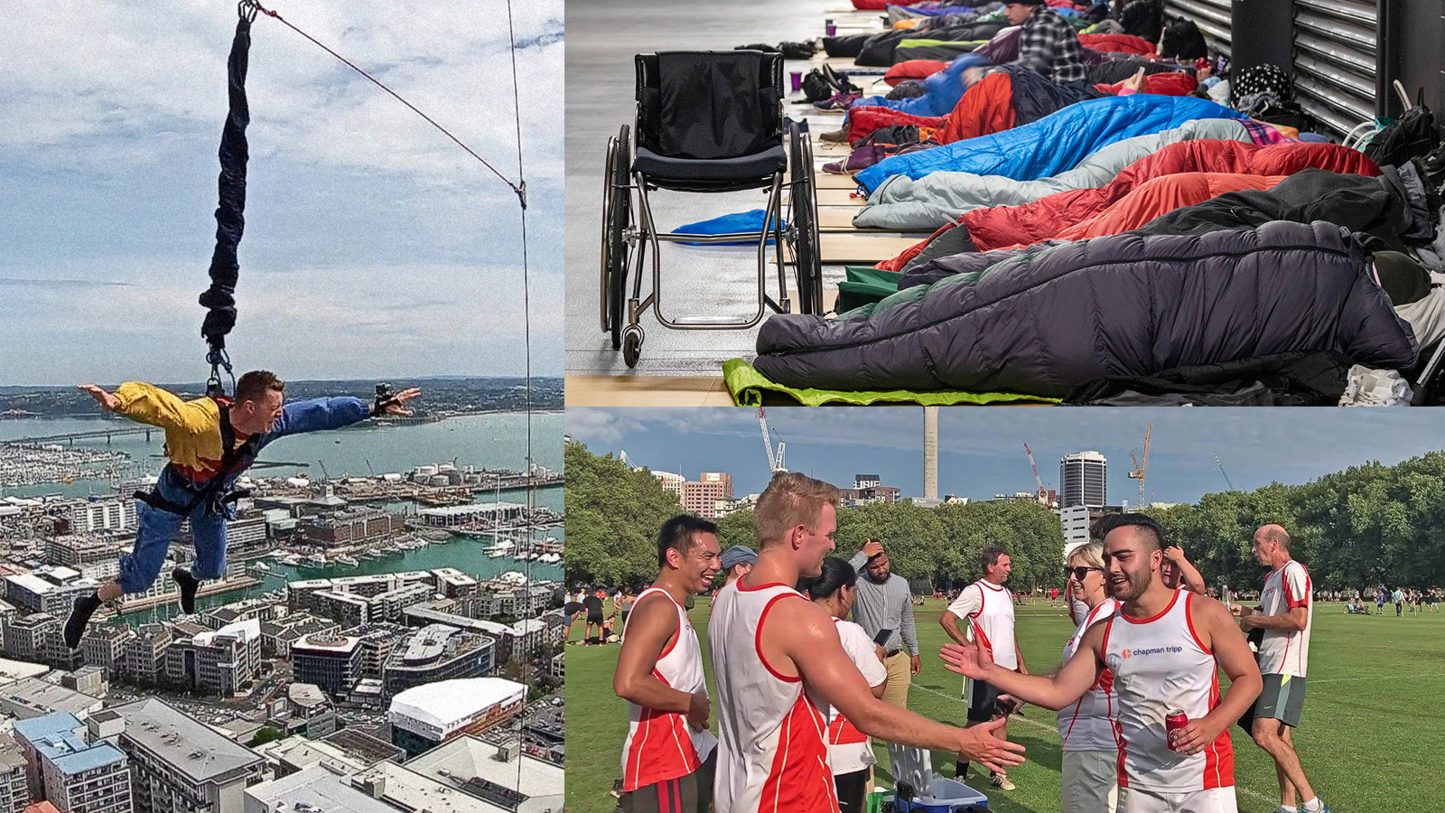 chapman tripp activities collage