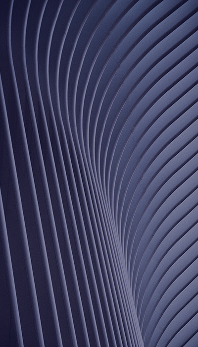 abstract navy curved walls
