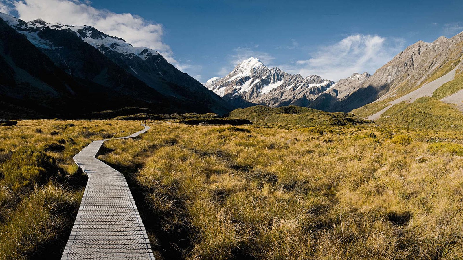 track in new zealand 